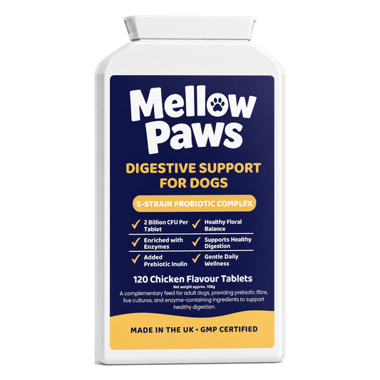 Digestive Support for Dogs